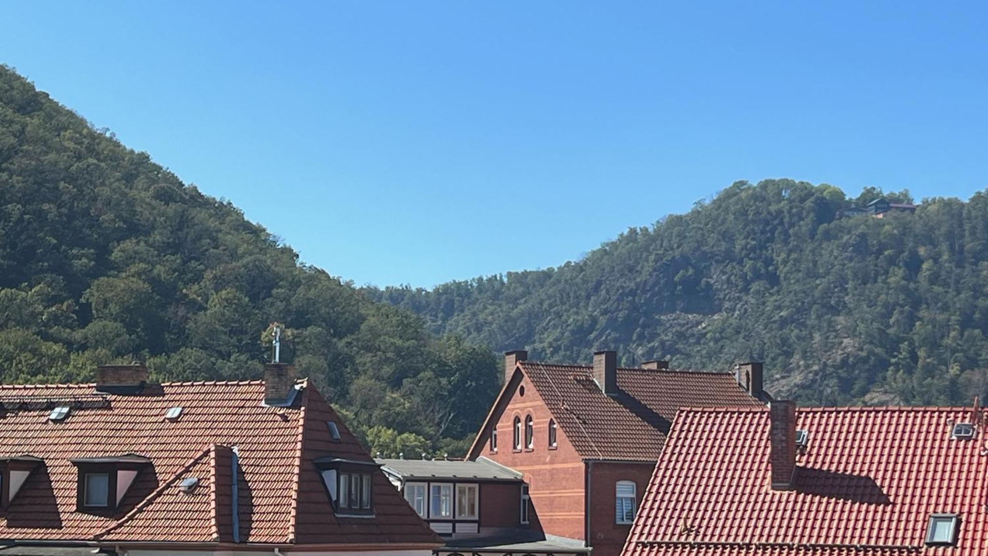 Rosstrappenblick Appartement Thale Buitenkant foto